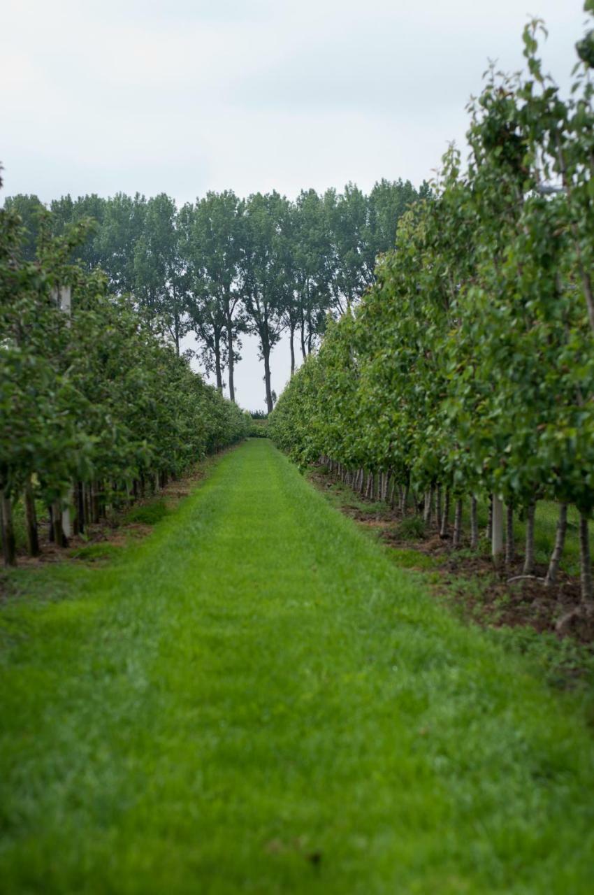 Hoeve Oude Tol Zuidzande ภายนอก รูปภาพ