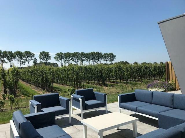 Hoeve Oude Tol Zuidzande ภายนอก รูปภาพ