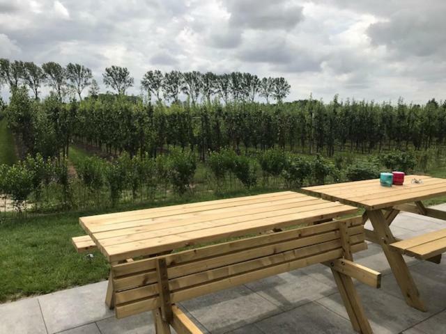 Hoeve Oude Tol Zuidzande ภายนอก รูปภาพ