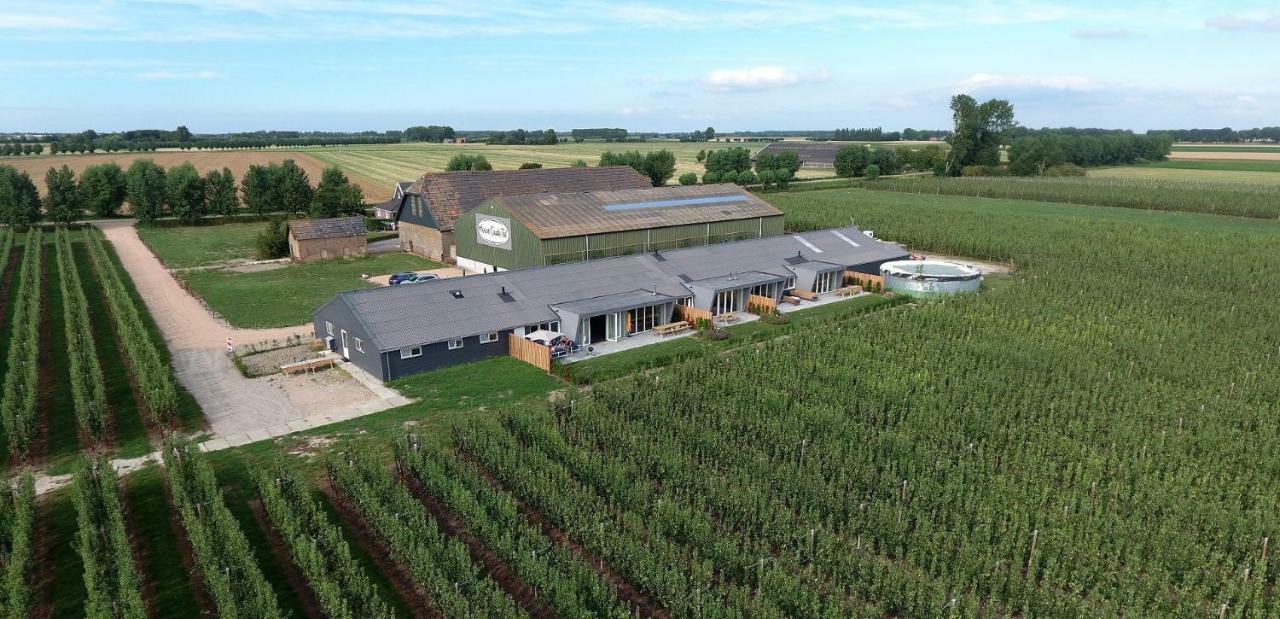 Hoeve Oude Tol Zuidzande ภายนอก รูปภาพ